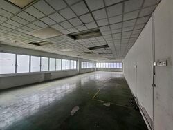 Perfect One (D13), Warehouse #618734811